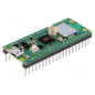 Raspberry PI Pico WH SC0919 RP2040