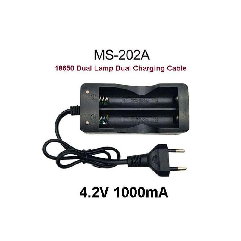 Chargeur double batteries 18650 MS-202A