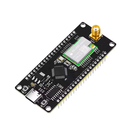 Kit de développement de module LoRa SX1262 DX-LR30-900M22SP